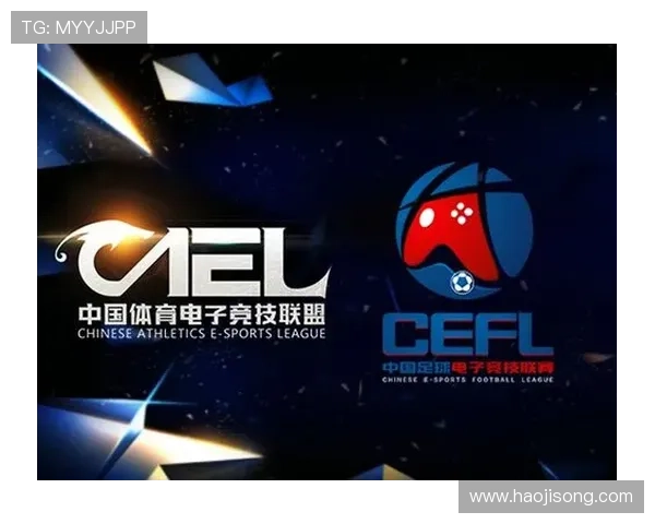 体育联赛最高薪酬是多少（各大体育联盟收入）sports